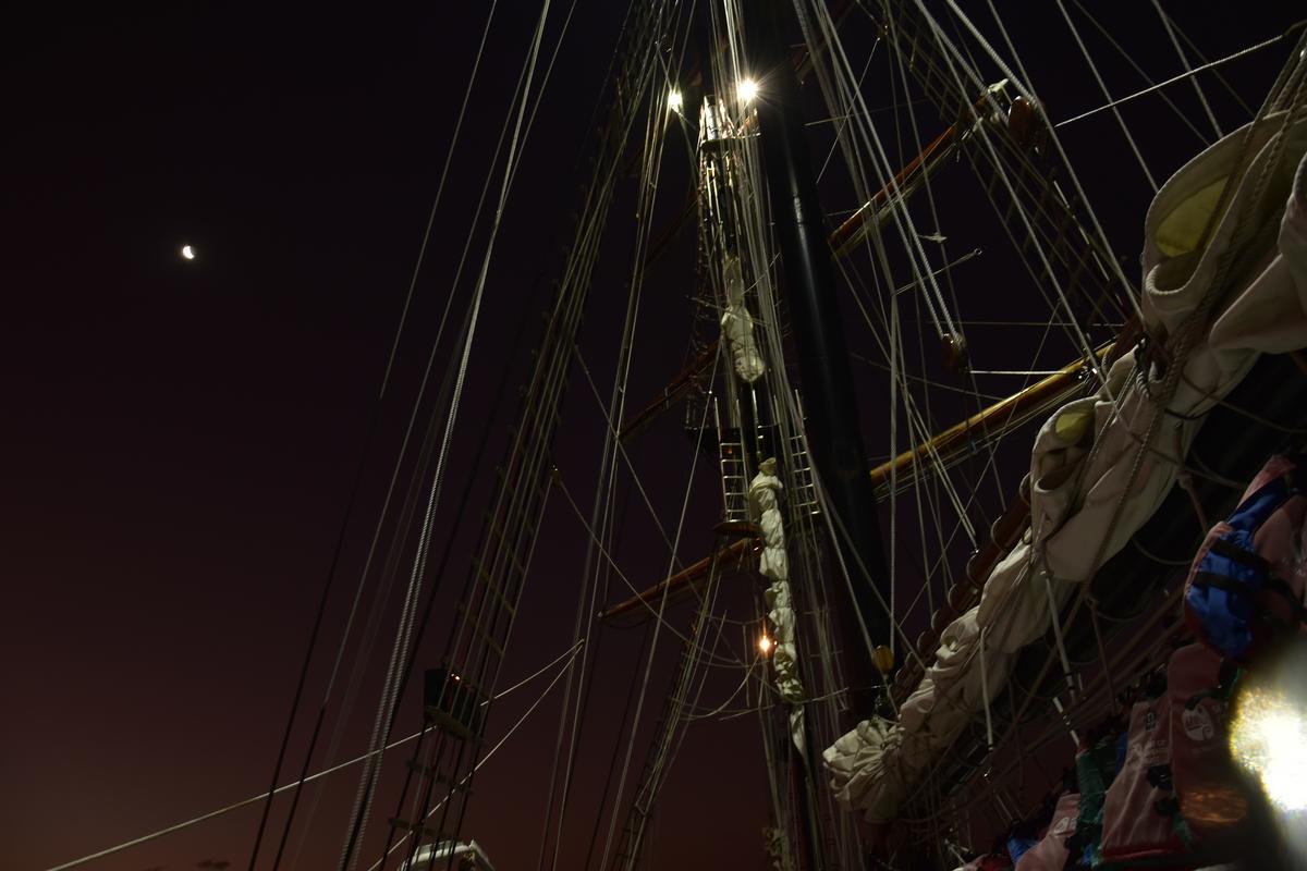 Gus Harvey Thompson;Nighly Spirit;Taken Upon The Spirit Of Adventure In Late December