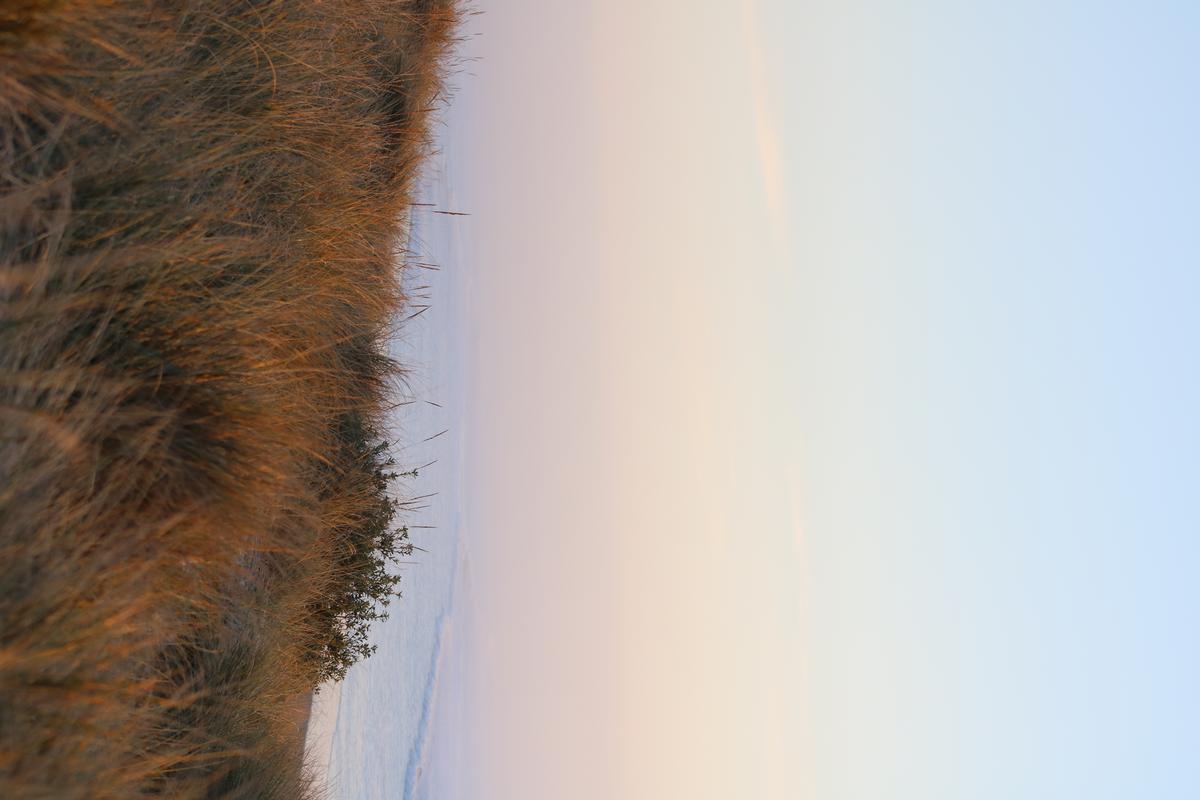 Harriet Graham;Fading Ocean;Dawn on Christchurch's New Brighton Beach. The way the colours blended together was just something unreal