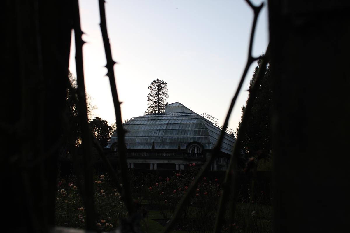 Katia Koon;Hope;There is rose thorns at the perimeter of the photo, at the Central of the photo is a house.  The lighting is very contrasting.