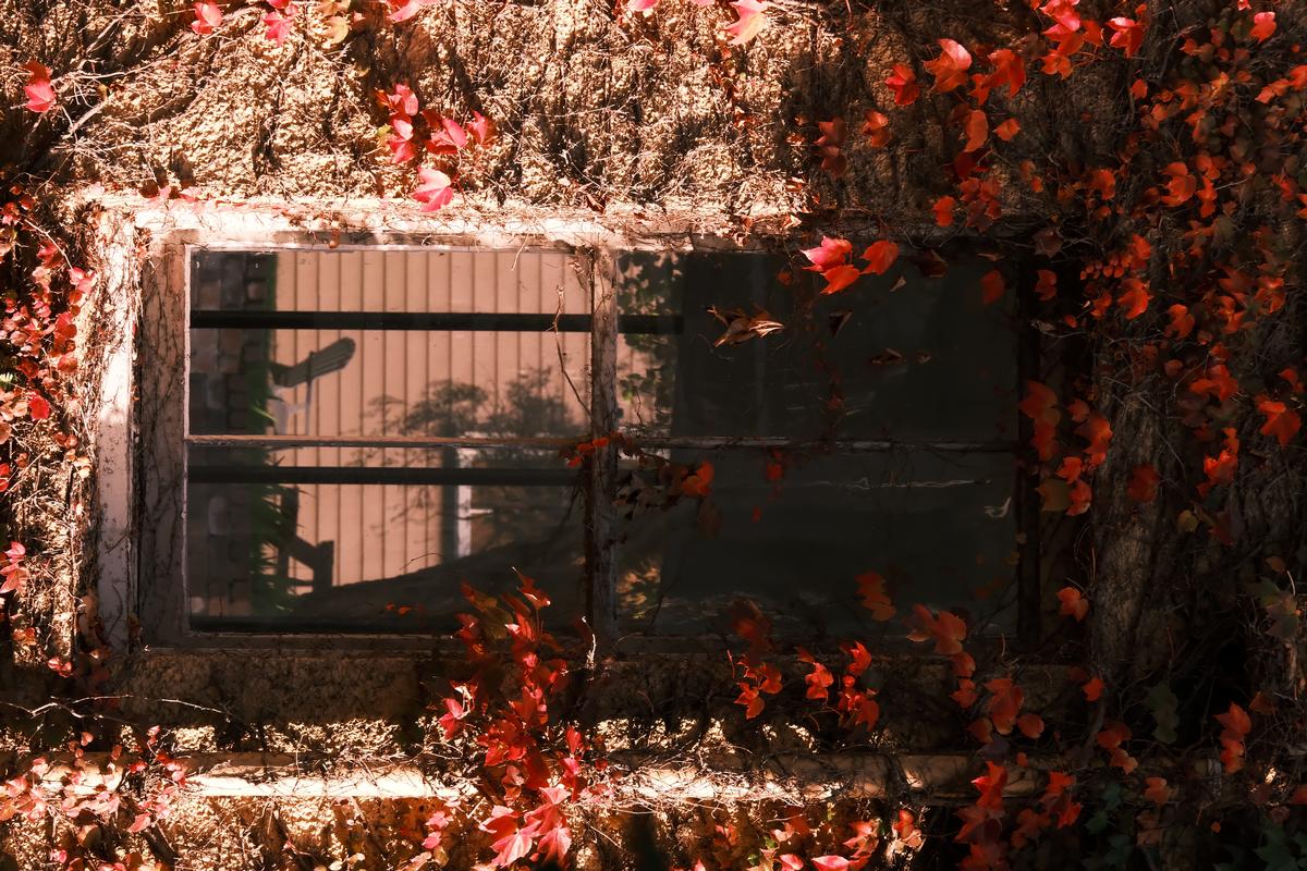 Lan Yang;autumn