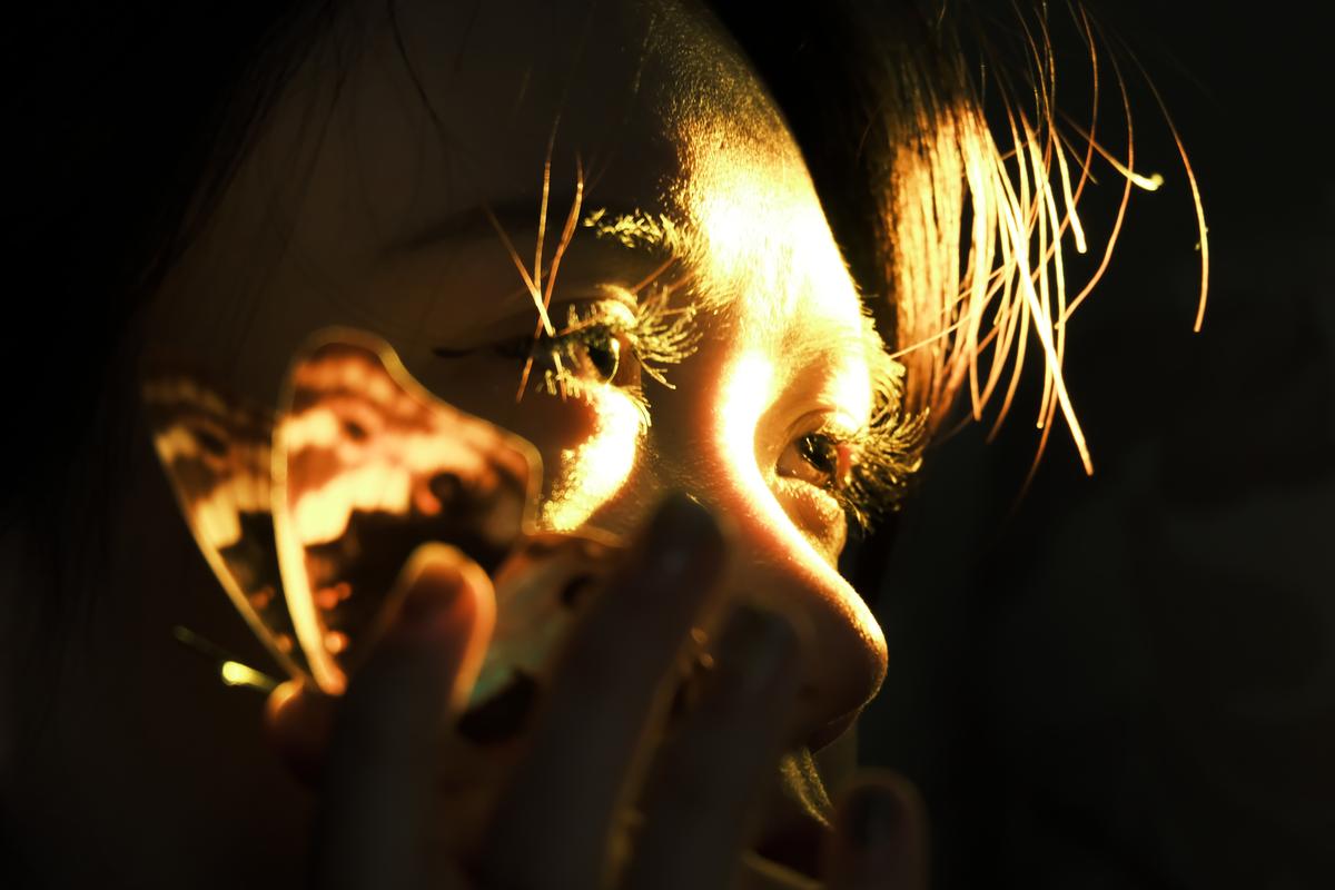 Lan Yang;Light