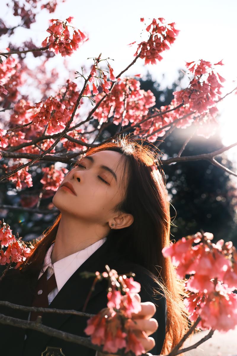 Lan Yang;sakura