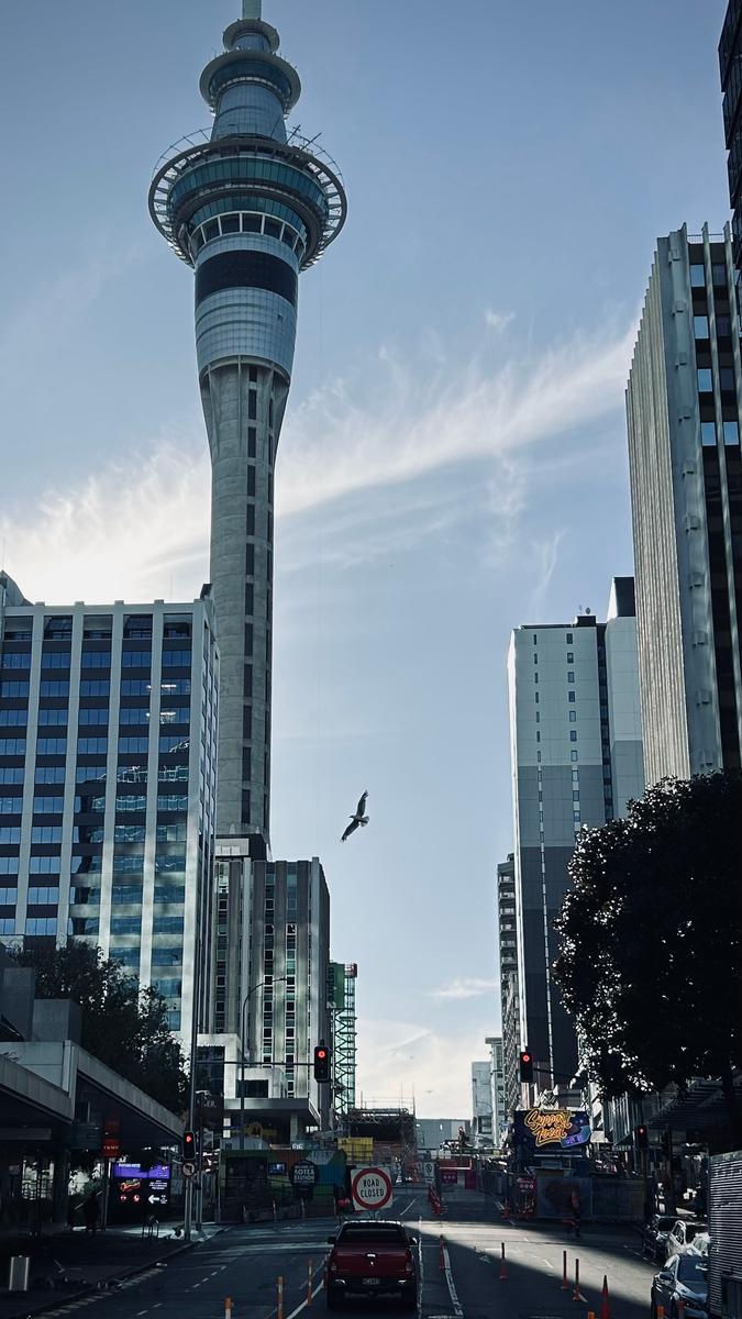 Pengqian Han;Fly