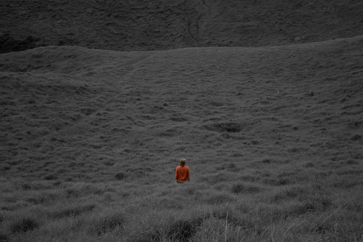 Reanna Hinds;Oh, The Places You’ll Go!;My mum has such a strong sense of adventure and it was awesome seeing her in her element.  She had a significant accident, and as part of her recovery she set about conquering all the volcanoes in Auckland (all 52!).  I love that I captured her achievement.  Her favourite book to read to us as kids was the Dr Suess book ‘Oh, The Places You’ll Go!’. This photo shows her adventurous spirit and makes me think of her favourite quote from the book “So be sure when you step. Step with care and great tact and remember that Life’s a Great Balancing act. Just never forget to be dexterous and deft. And never mix up your right foot with your left. And will you succeed? Yes! You will, indeed! (98 and ¾ per cent guaranteed) KID, YOU’LL MOVE MOUNTAINS!”   Dr Suess