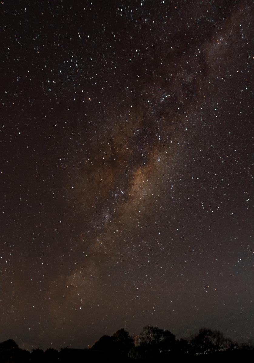 Sophie Hansen;Crystal Clear Rural Sky;The milky way shining over the trees on our farm.
