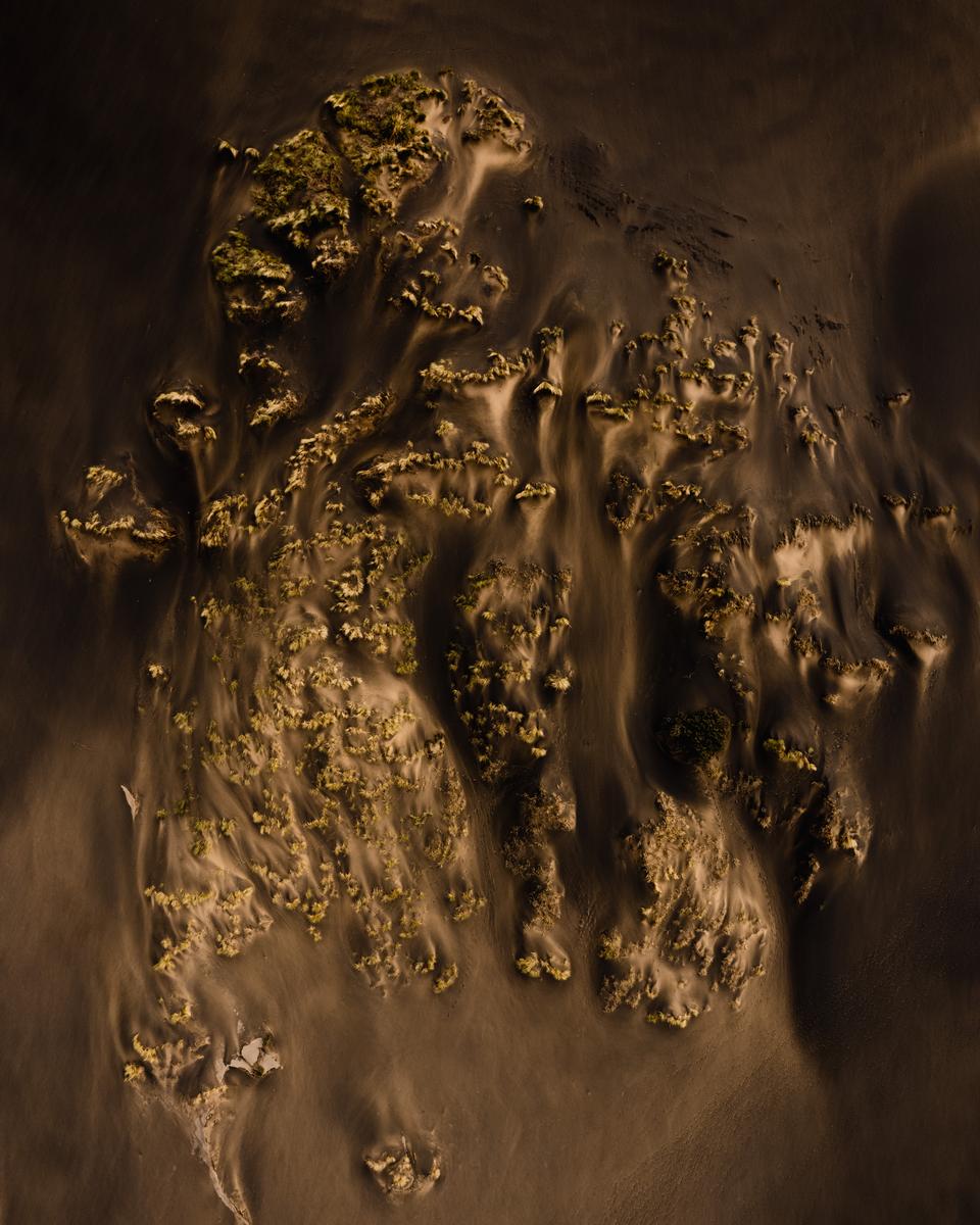 Tieshu Zhu;Whispers of Resilience