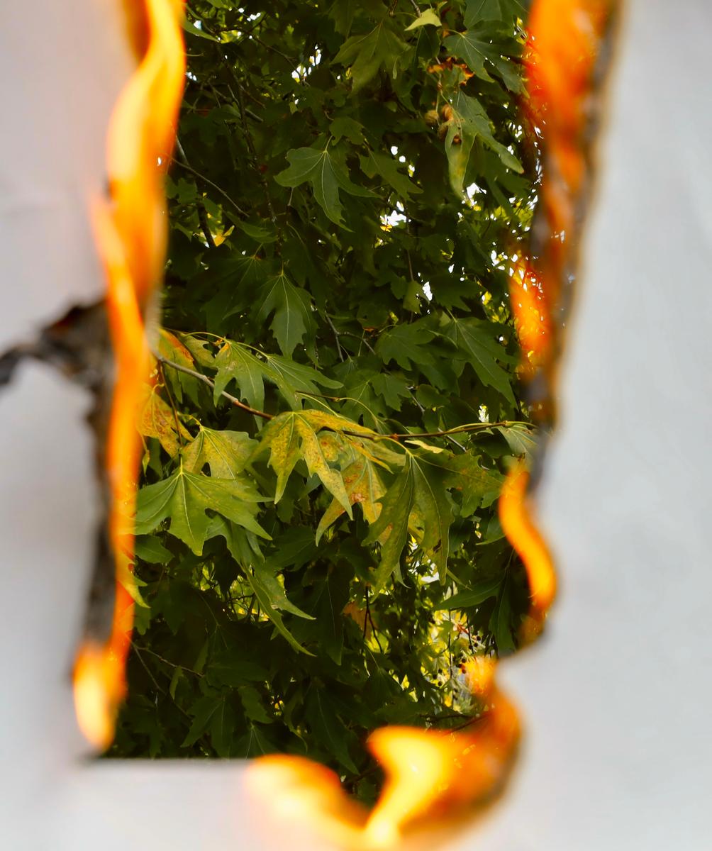 William Xu;burning paper