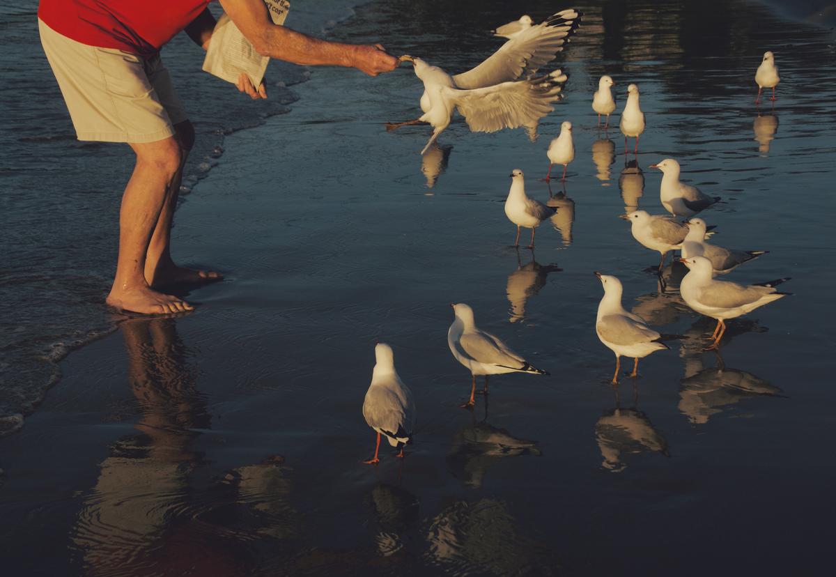 Zara Cornwell;Chips at the beach