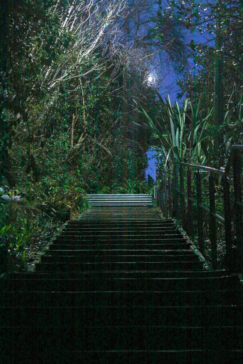 Connie Li;Night & Stairs;I took this photo during a quiet night walk. The staircase lit by moonlight reminded me of how moving forward in life can feel uncertain, but even in the dark, there’s always a path to follow.