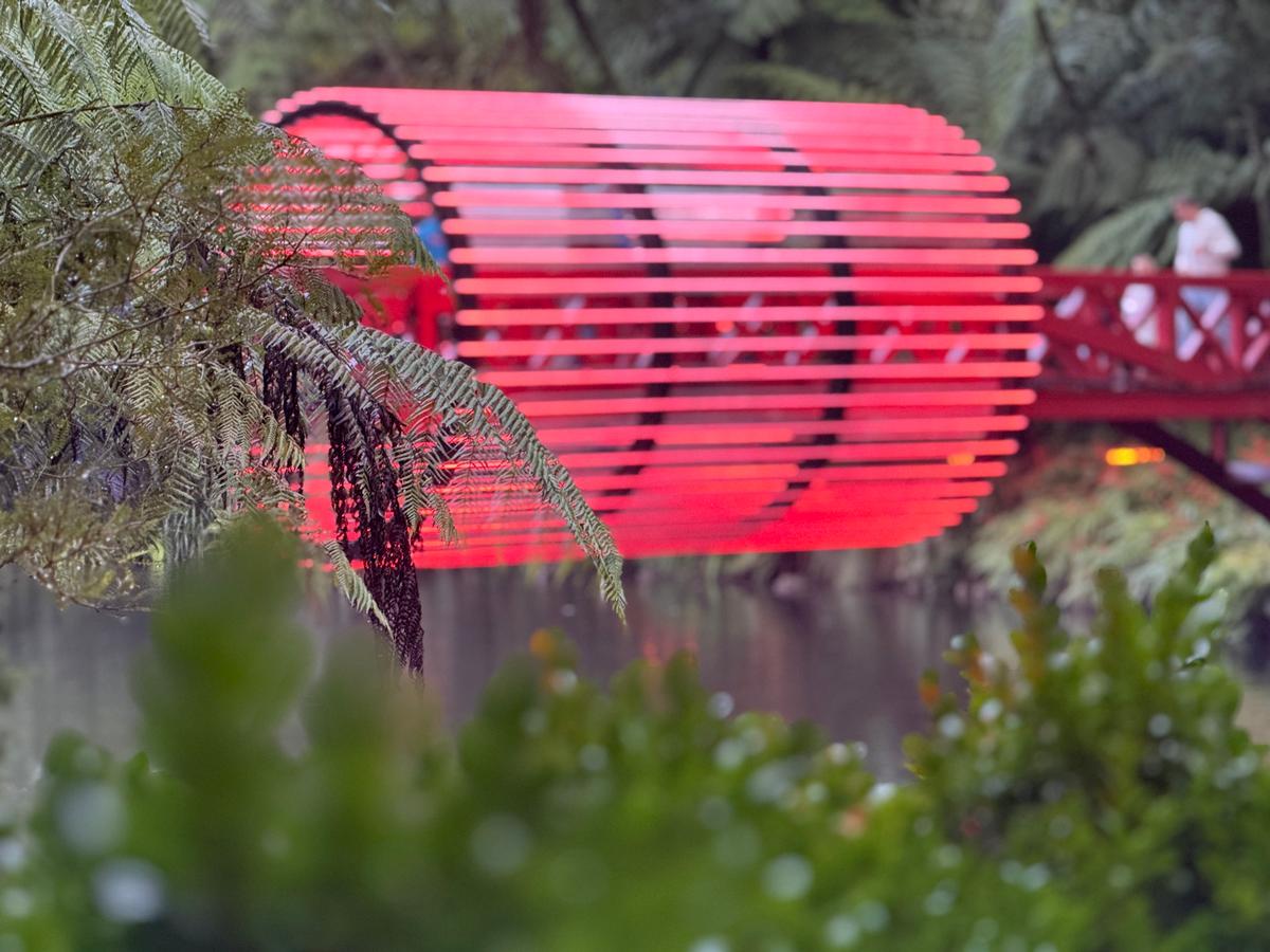 Kerrie Whistler;New Plymouth Festival of Lights;Public community event