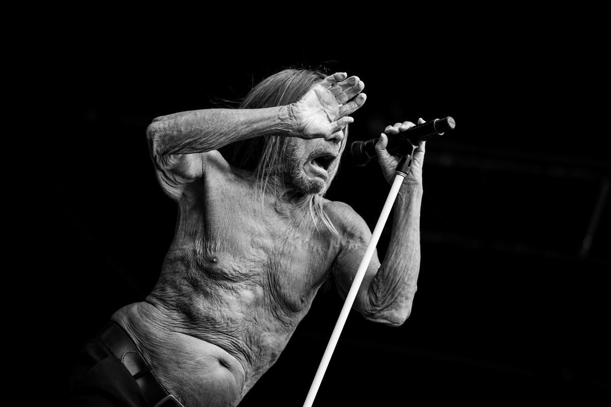 Mingxuan Lyu; The hand of legacy; Iggy Pop 2026.01.24