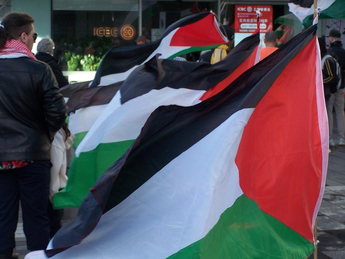 Bruce King;Palestine flags