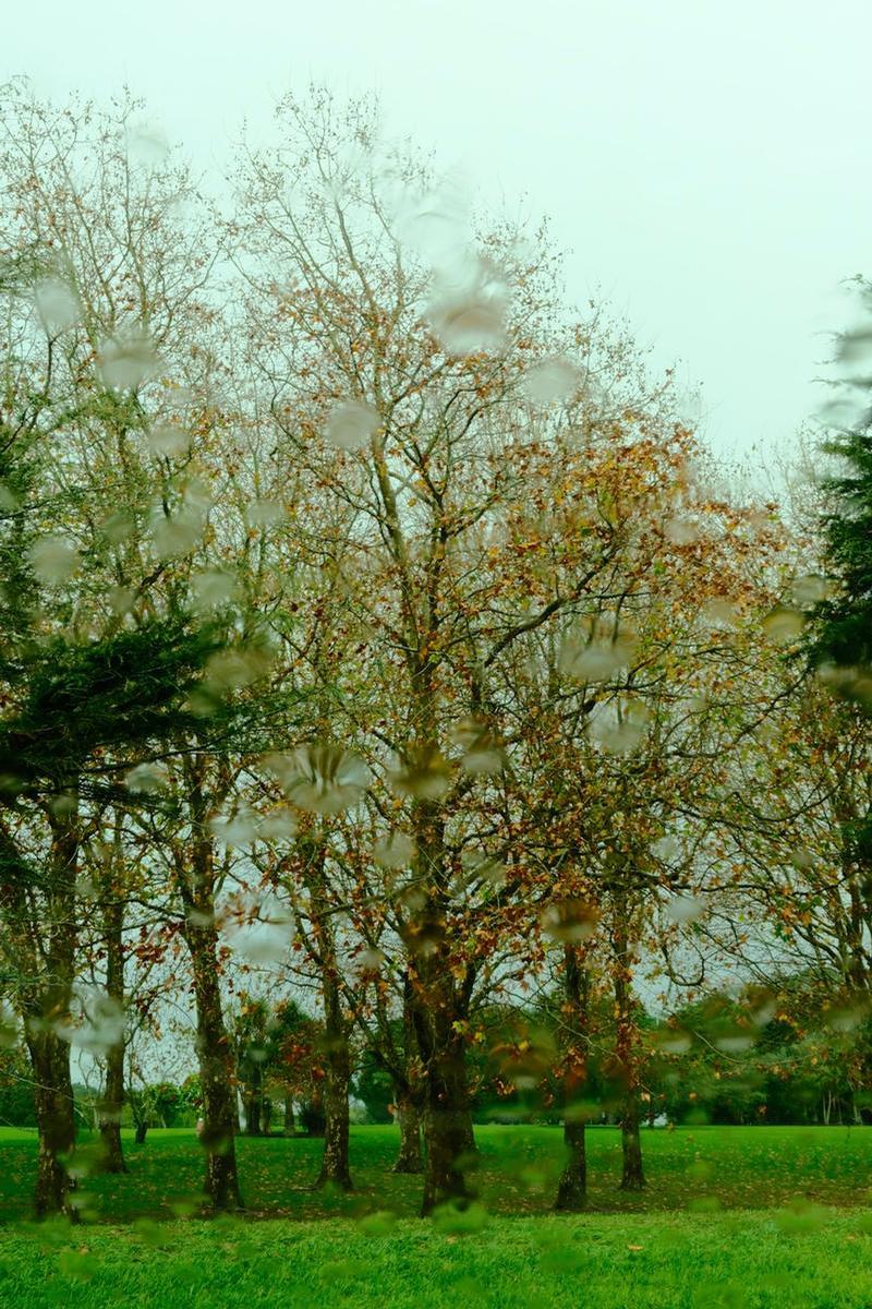 Sophie Alexander;Cornwall from my car