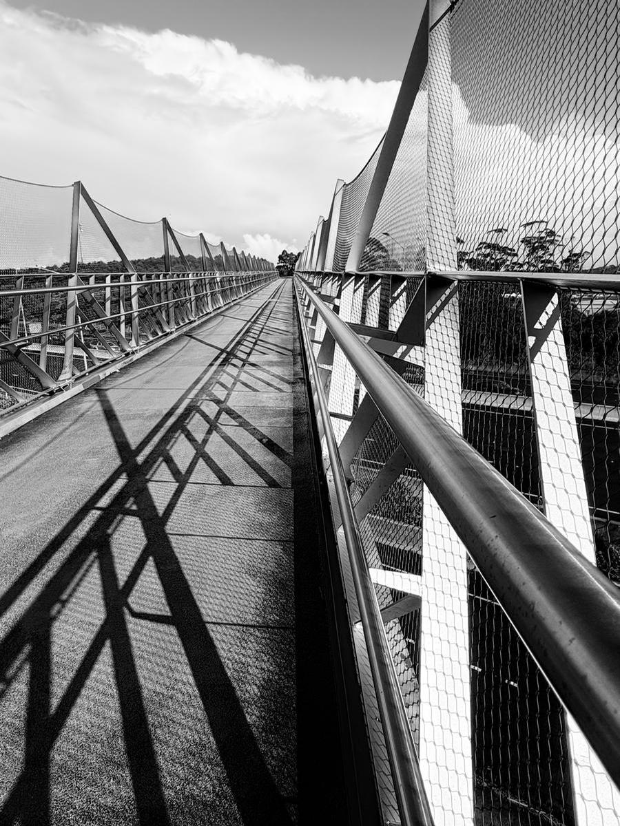 Sophia Elise;Bridged