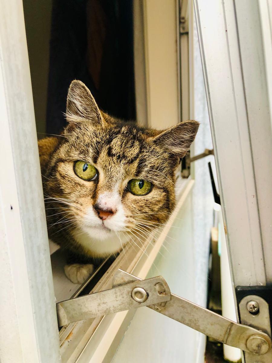 Fiona Kelly;Weather Watch
