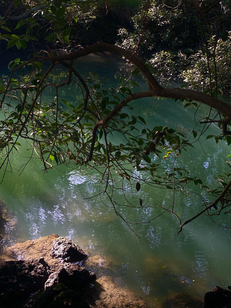 Tash Hopkins;Cox’s Bay creek