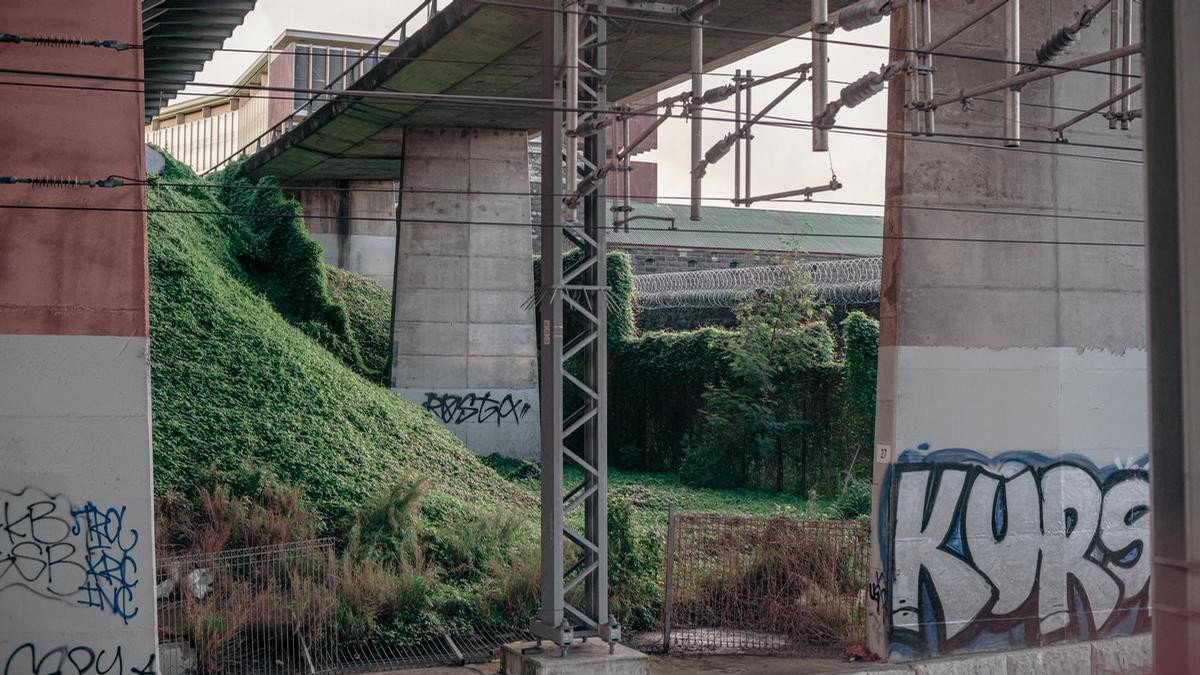 Sian Singh;Central Overgrowth