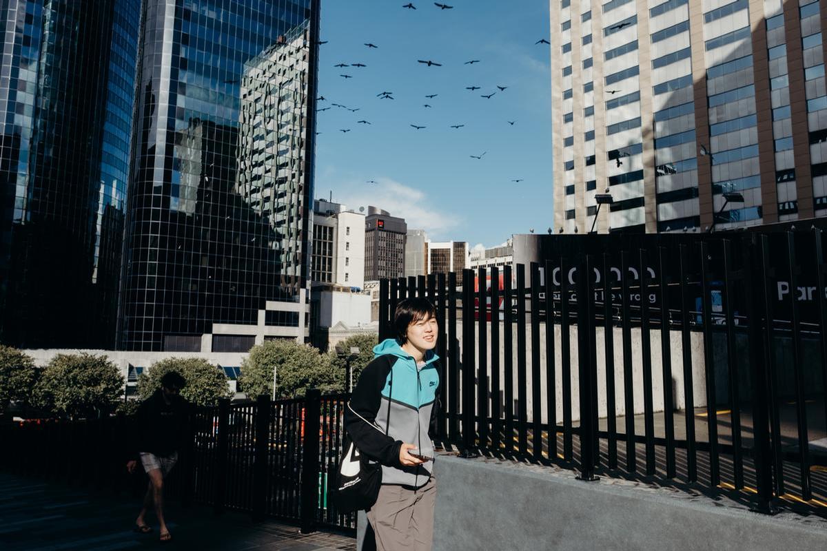 Lambert Laluz;Taking Flight