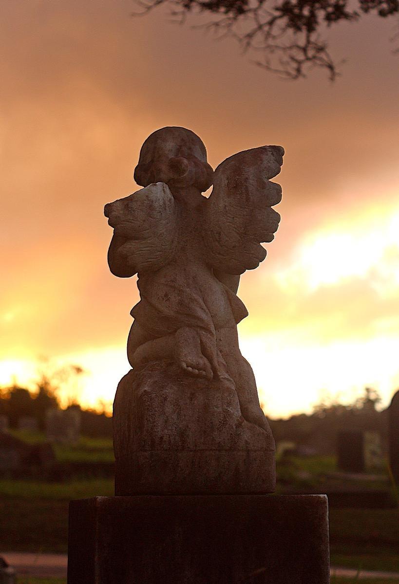 Maria Wood;The Angel's Westward Gaze