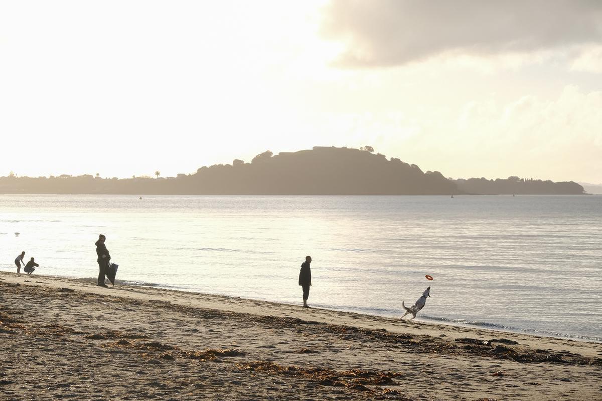 Steven Zhang;On the beach at dusk