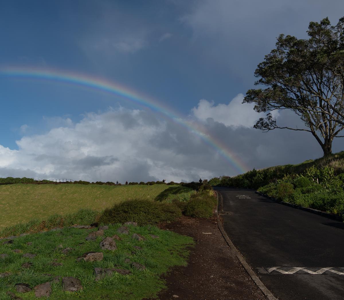 Uwe Duesing;Mount eden