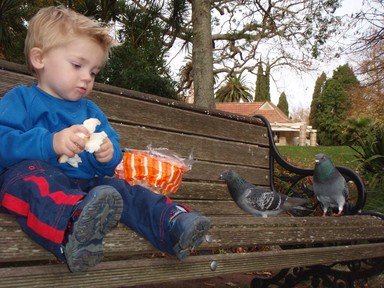 Vance McMillan;Feeding the birds