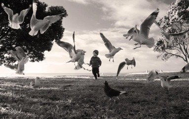 Angela Taft;Chasing The Birds