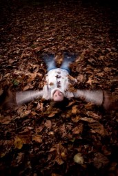 Samuel Kwan;Making angel in leaves