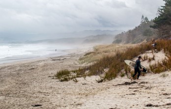 Jack Hall;Windswept