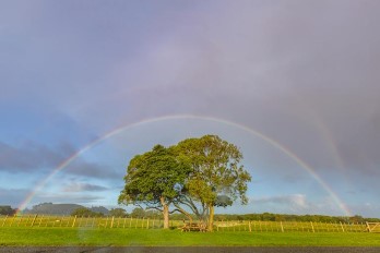 Weichen Jiang;Crossed rainbows