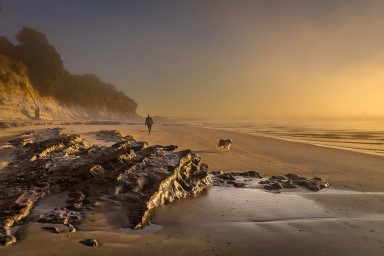 Gao Tao;Early bird walking on beach