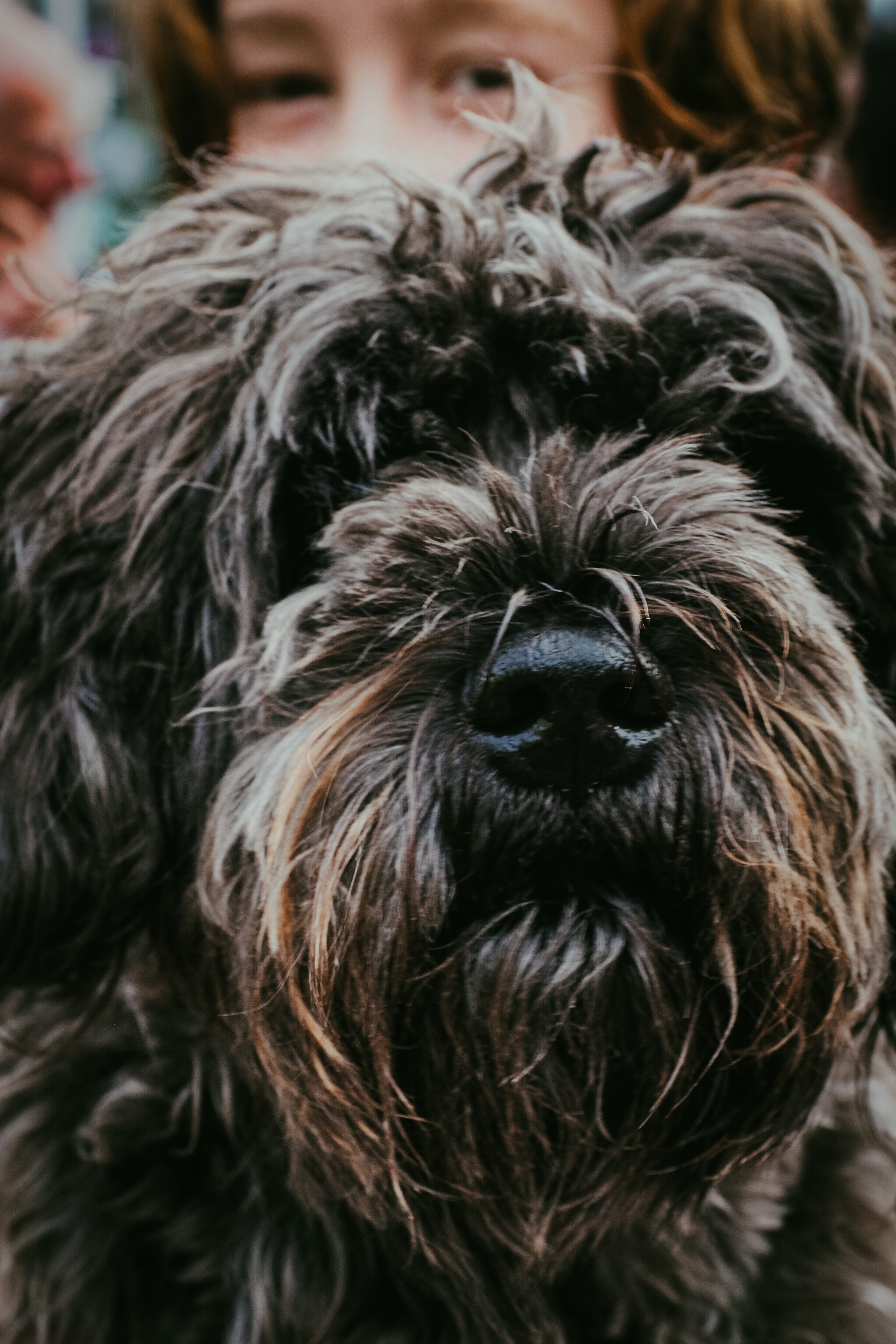 Gaby Suhl; Scruffy and his Human