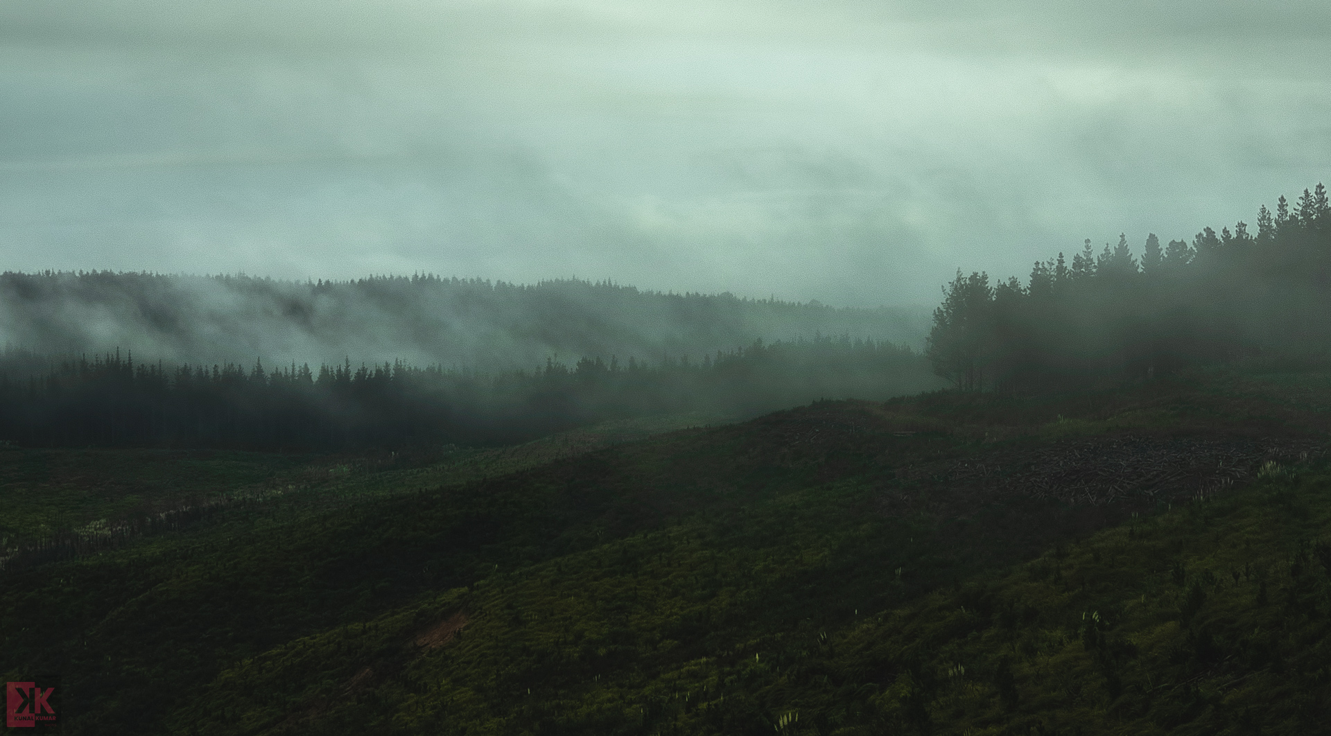 Kunal Kumar; Amongst the Mist