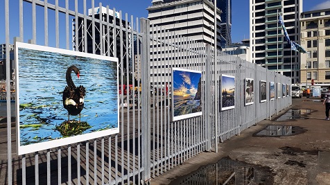 Water 2021 - Queens Wharf